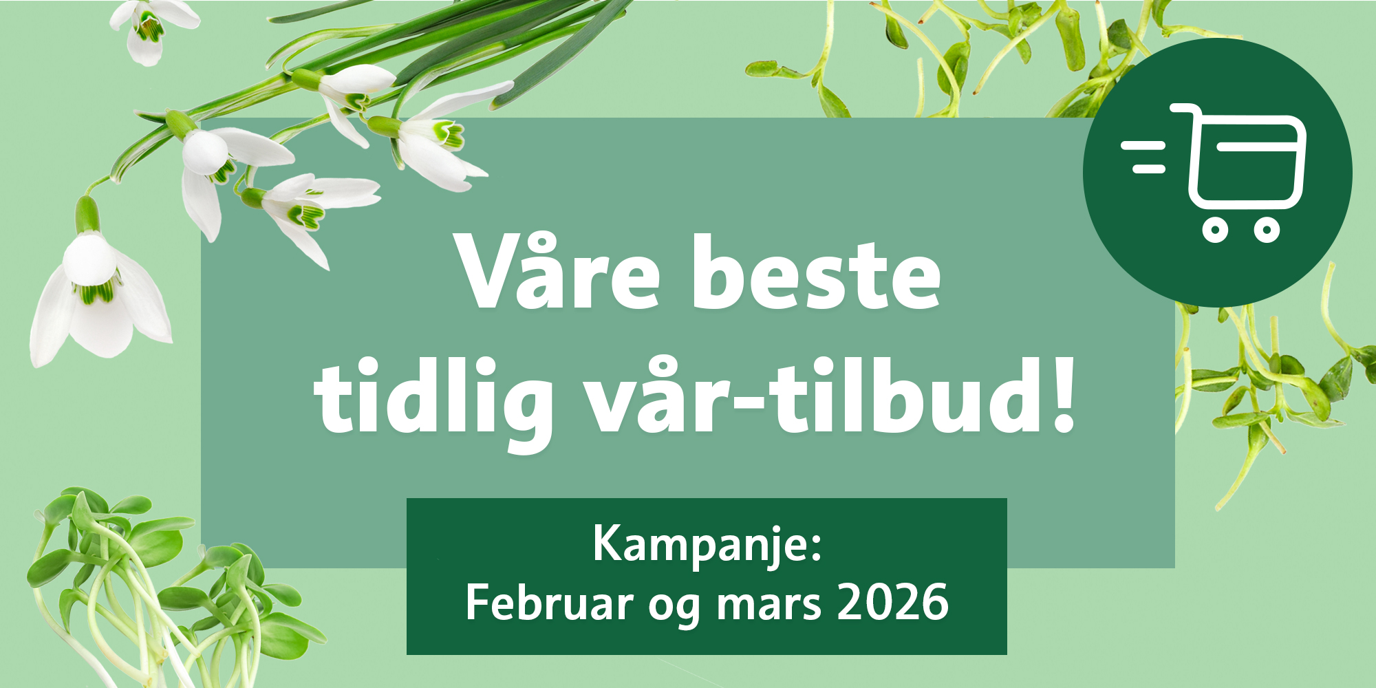 Kampanje februar & mars